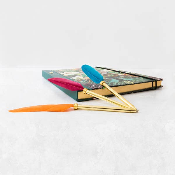 Portico Designs - Vendita all'ingrosso Penne - Confezione Archivio da 12 penne a piuma con espositore CDU0