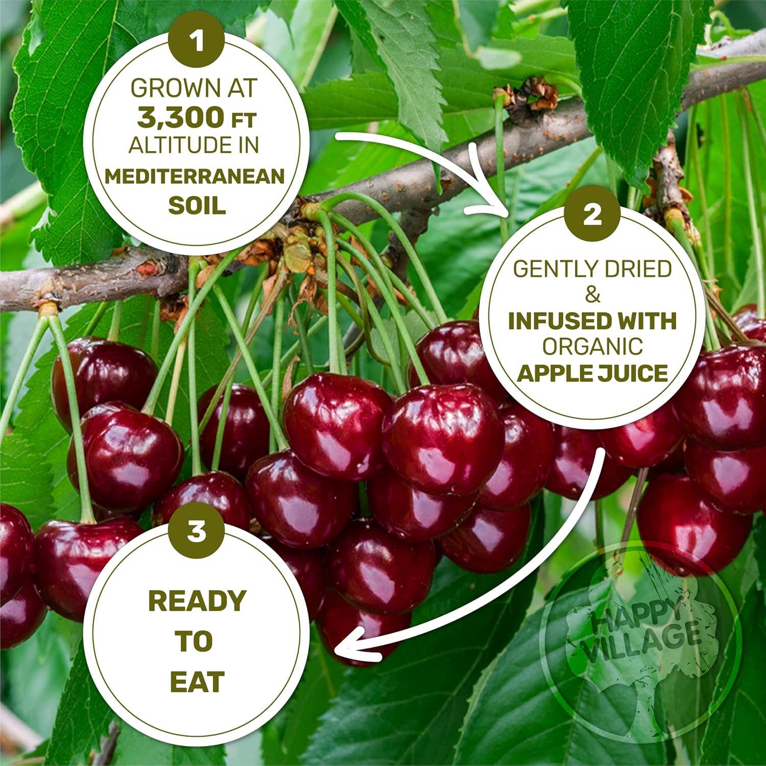 Happy Village - Wholesale Dried/Dehydrated Fruit - Happy Village Organic Whole Dried Tart Cherries 10 OZ4