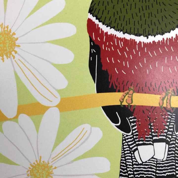 Kate E. Burke - Wholesale Art Print - Bird Series: Masked Trogon 11x14 Digital Print4