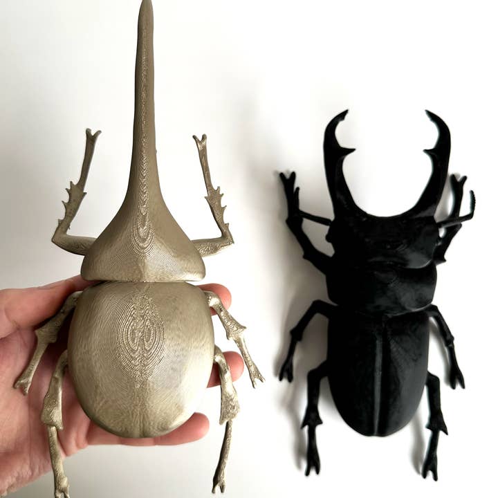 CSAcreative - Wholesale Wall Decor - Kids & Baby - Giant Beetles