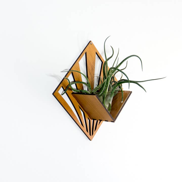 LIGHT RAZOR DESIGN STUDIO - Wholesale Wall planter - Air Plant Holder / Quadrate Wall Hanging Planter 251