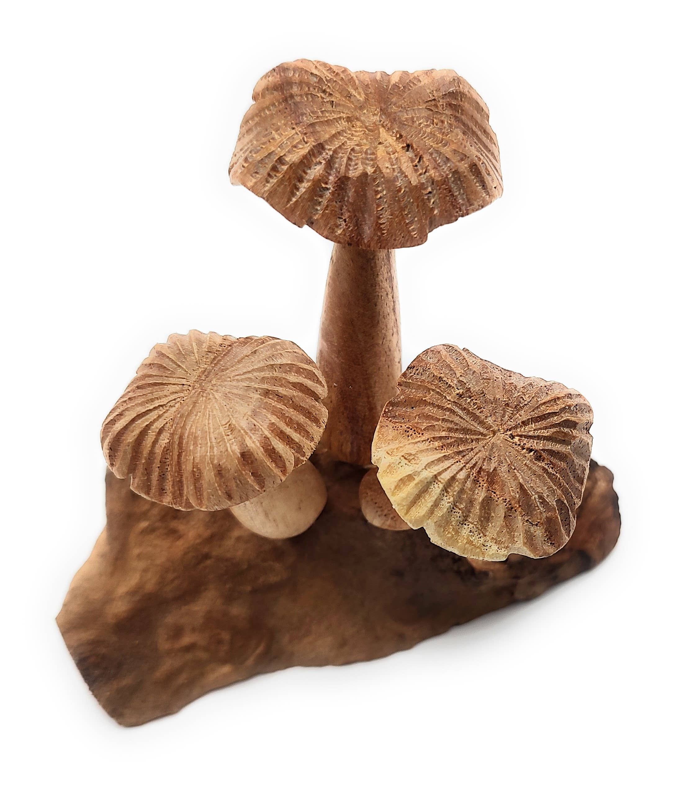 OTOP USA – Engroshandel Bordpynt – Blomstersvamp Lille3