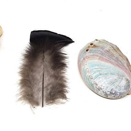 Oily Blends - Wholesale Sage Bundle - Mini Sage Smudge Travel Kit with Abalone Shell and Feather