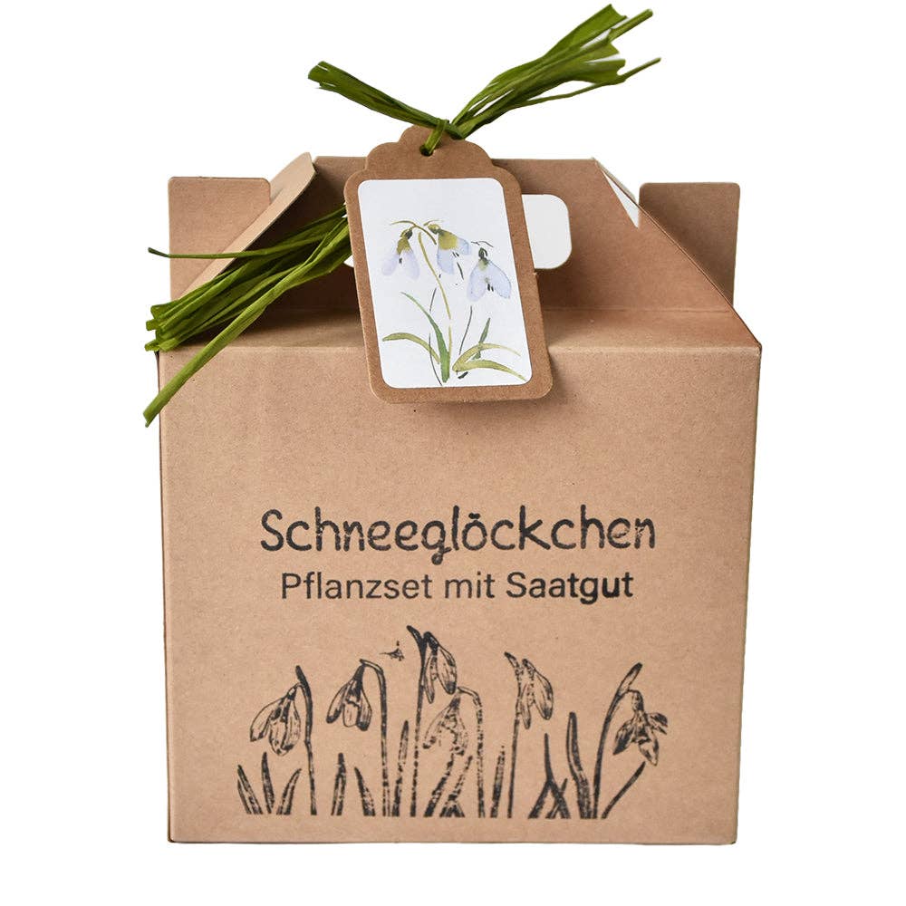 Wunderle GmbH - Wholesale Plant Seeds - Tender heralds of spring snowdrop growing kit0