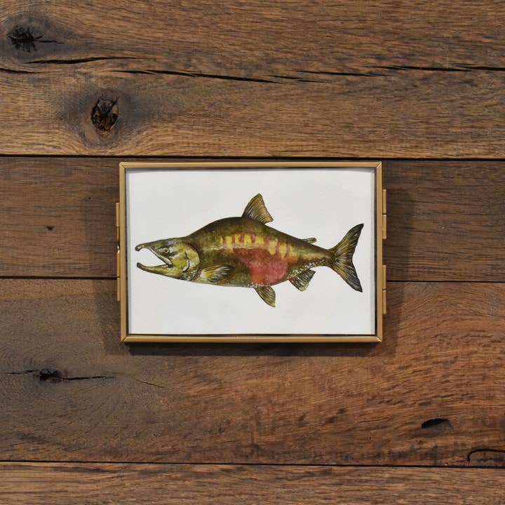 Aquarelle sur le saumon kéta 4x6 pour la vente par Hadley Richards Designs