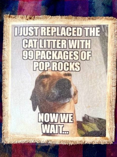 CAMISA FLANELA “ACABEI DE SUBSTITUIR A NINHADA DO GATO” (#349) por atacado de Jana's Flannels