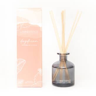 Fragrant Reed Diffuser Daydream Watermelon & Citrus 200ml for wholesale by Luminessence Candles