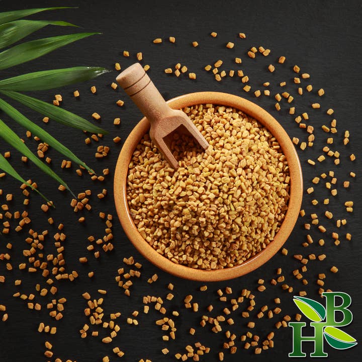 Herb To Body - Wholesale Plant seeds - Fenugreek Seed Whole 4oz1