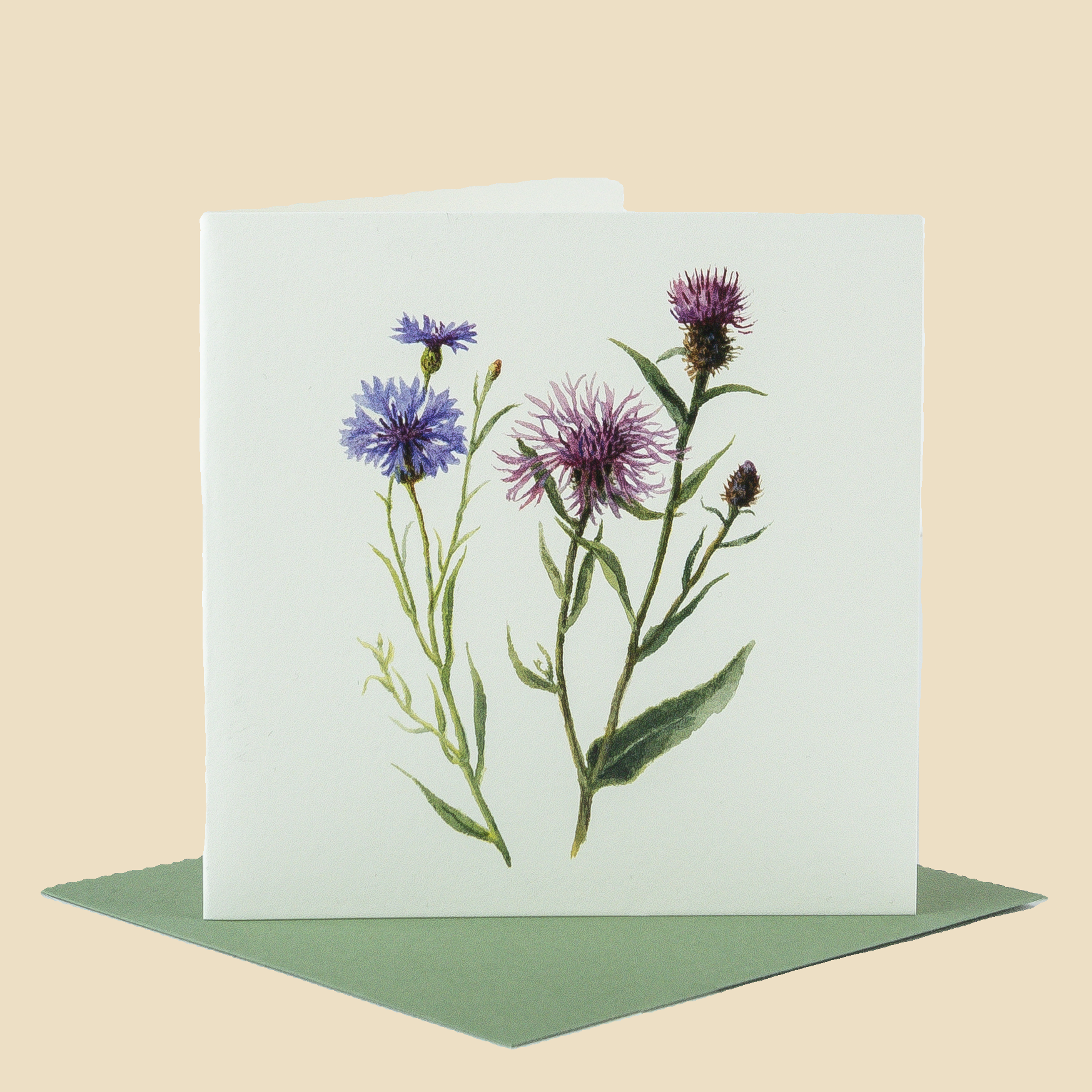 Sophia Davenport - Wholesale Everyday Greeting Card - Wildflower Greeting Cards and Notelets10