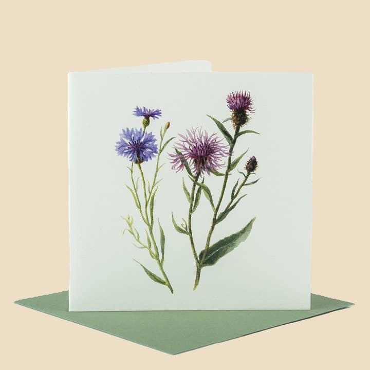Sophia Davenport - Wholesale Everyday Greeting Card - Wildflower Greeting Cards and Notelets10