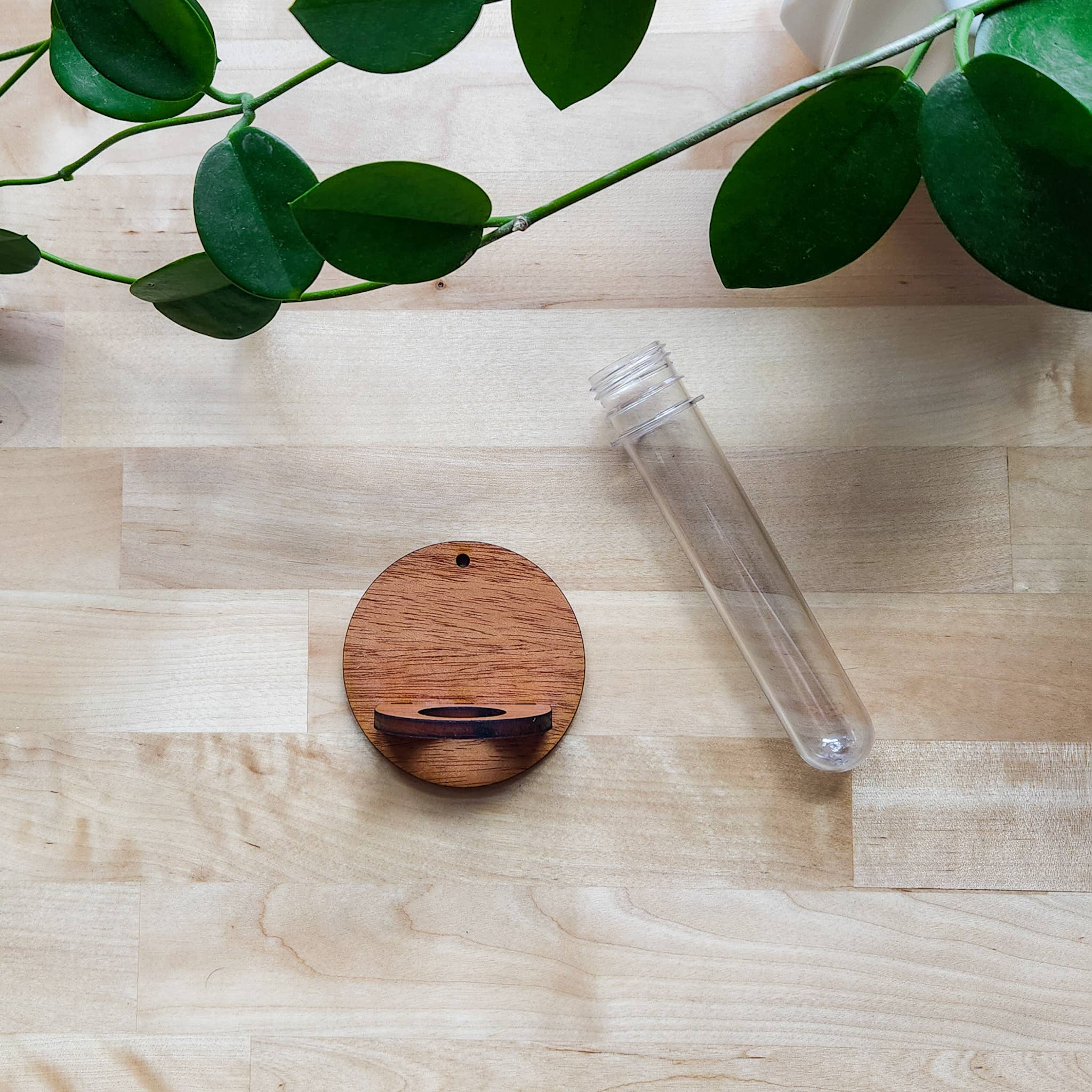 Leaf & Node - Wholesale Hanging Planter - Wall Hanging Propagation Station - Round Test Tube Holder5