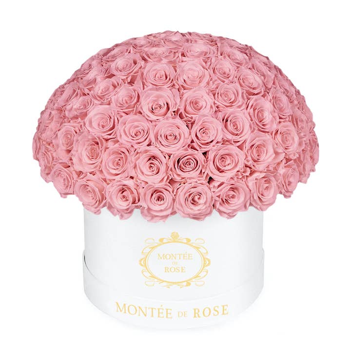 White Large Dome for wholesale by MONTÉE DE ROSE