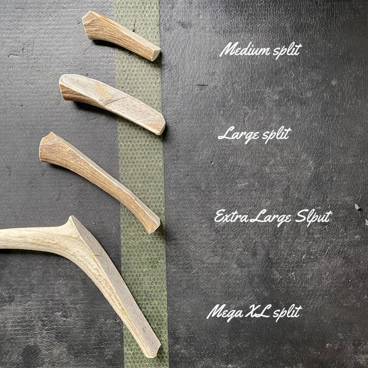 Sawtooth Antler Chews - Wholesale Pet Chew Toy - Dog - Dog Antler Chews6