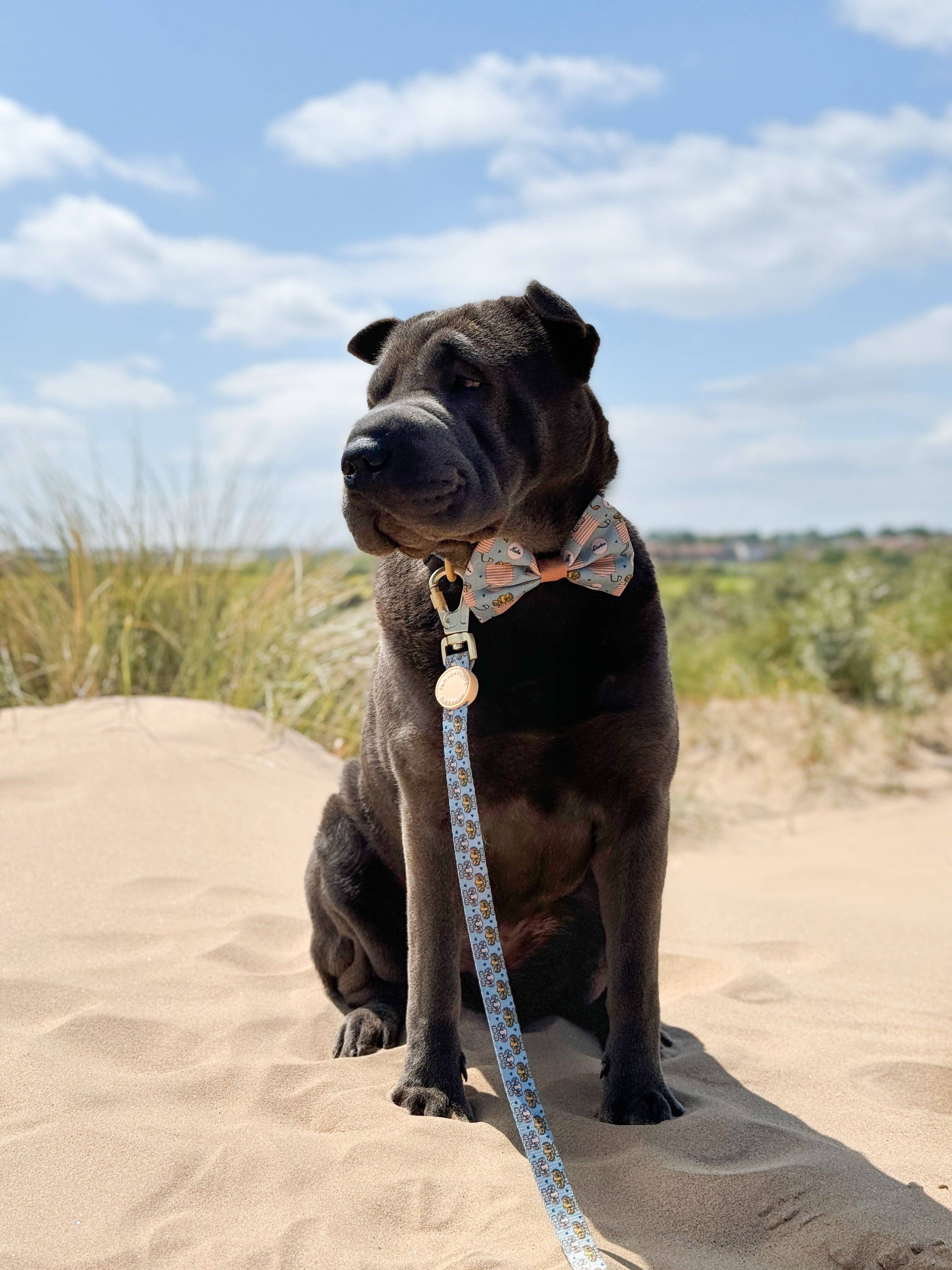 Pawsome Paws - Wholesale Pet Leash - Dog - Disney© Lead - Lion Friends7