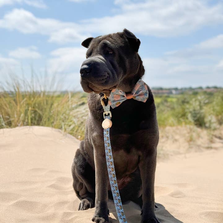 Pawsome Paws - Vendita all'ingrosso Guinzaglio - Cani - Disney© Lead - Gli amici dei leoni7