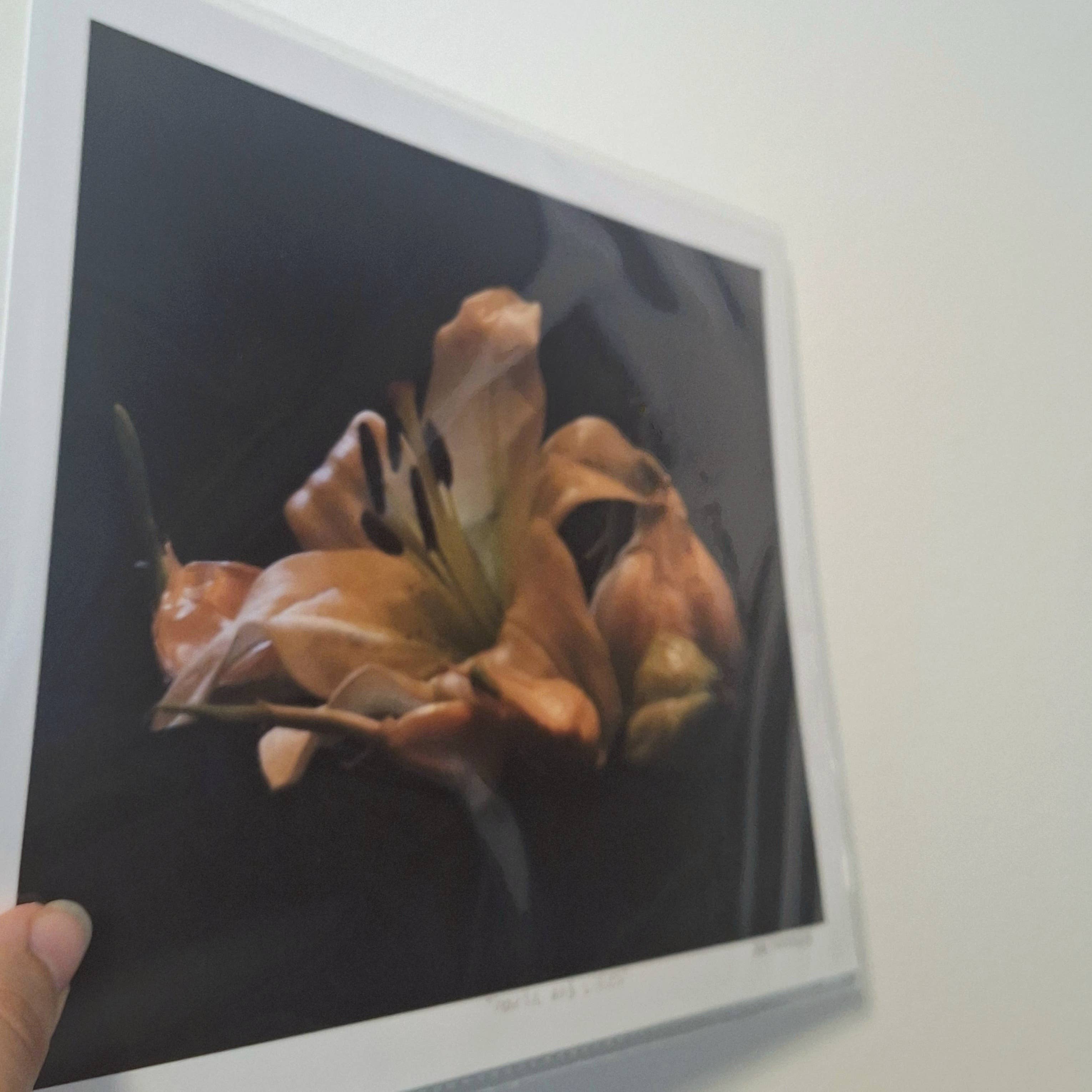 Gen Aumonier Art - Wholesale Photograph - Garlic and Lilies 8"x10" Signed Photography Art Print5