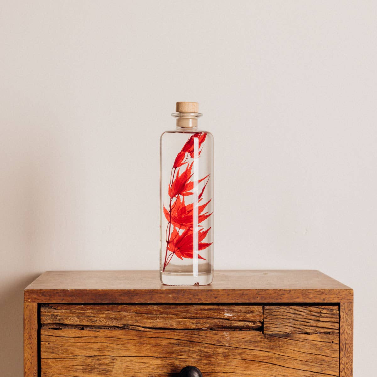 Theophile Berthon - Wholesale Live Plant - Red Maple Herbarium submerged plant3