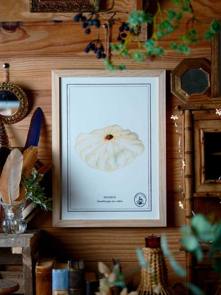 A4 Poster Pattypan Squash for wholesale by ANNE VERBORG