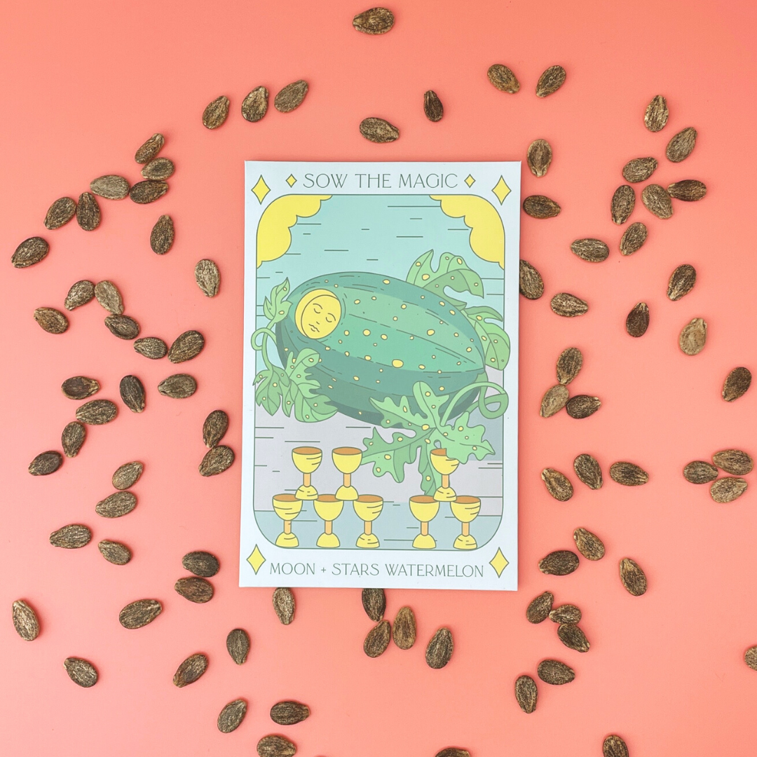 Sow the Magic - Wholesale Plant Seeds - Moon and Stars Watermelon Tarot Seed Packet3