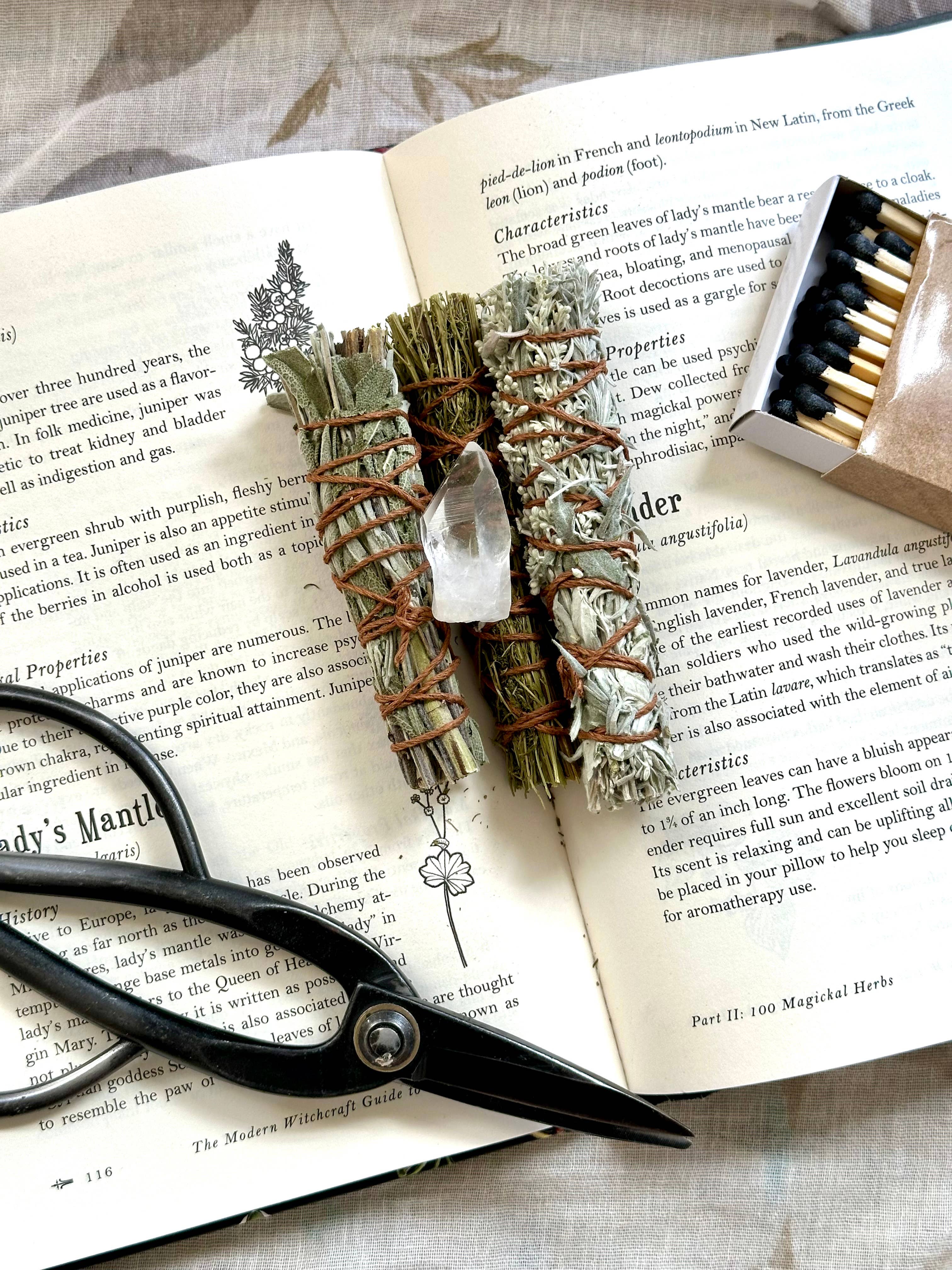 erba - Wholesale Sage Bundle - Energy Cleansing Sampler Set2