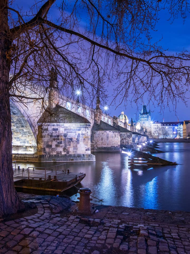 Prague Poster - 'Magic Tree' under Charles Bridge for wholesale by Posters & Puzzles