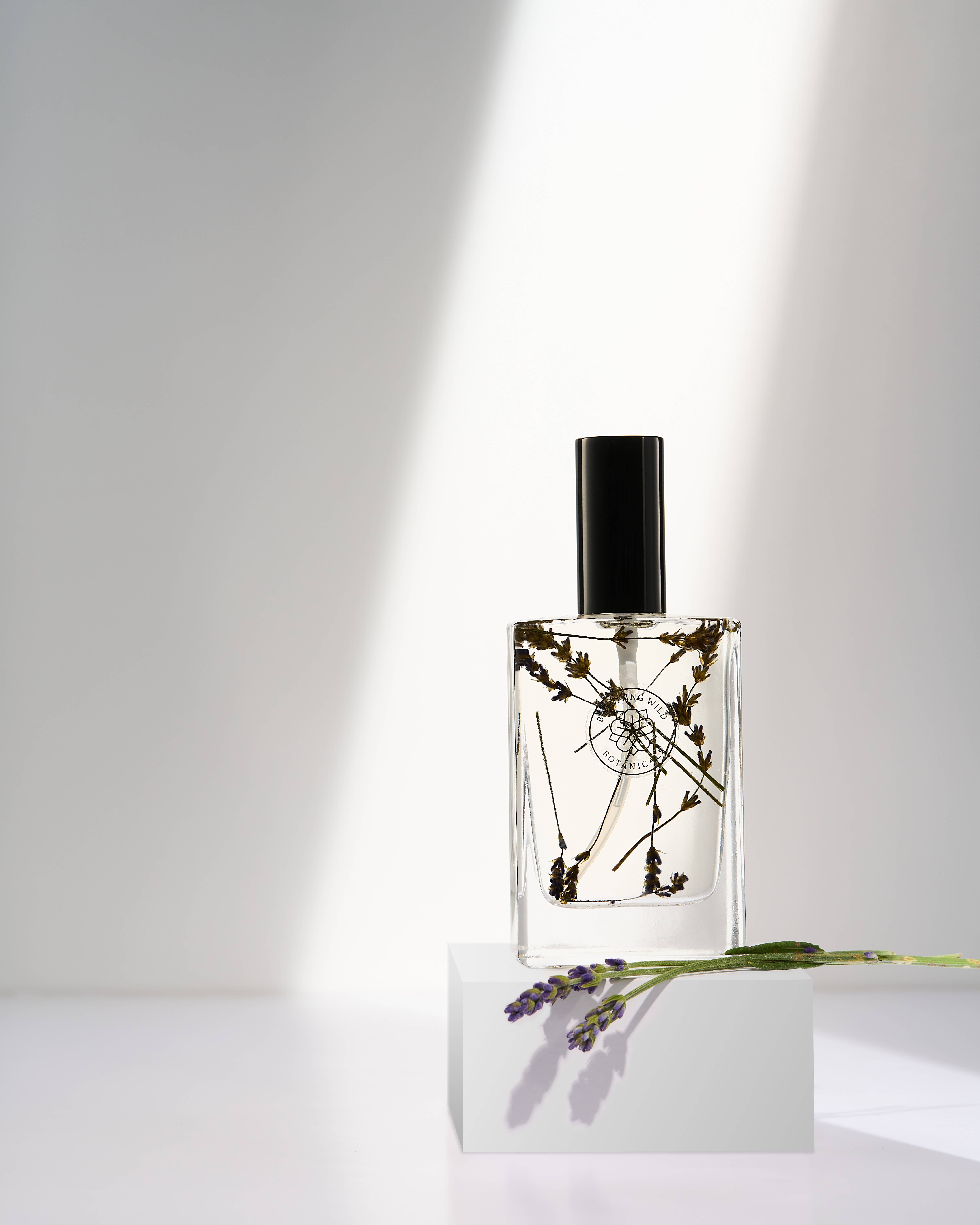 Blooming Wild Botanicals - Wholesale Bath/Body Oil - Summer Night's  Botanical Body Oil | Lavender3