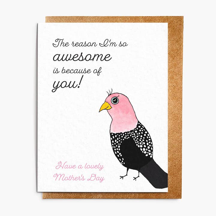 The Reason I'm So Awesome for wholesale by Flew the Coop