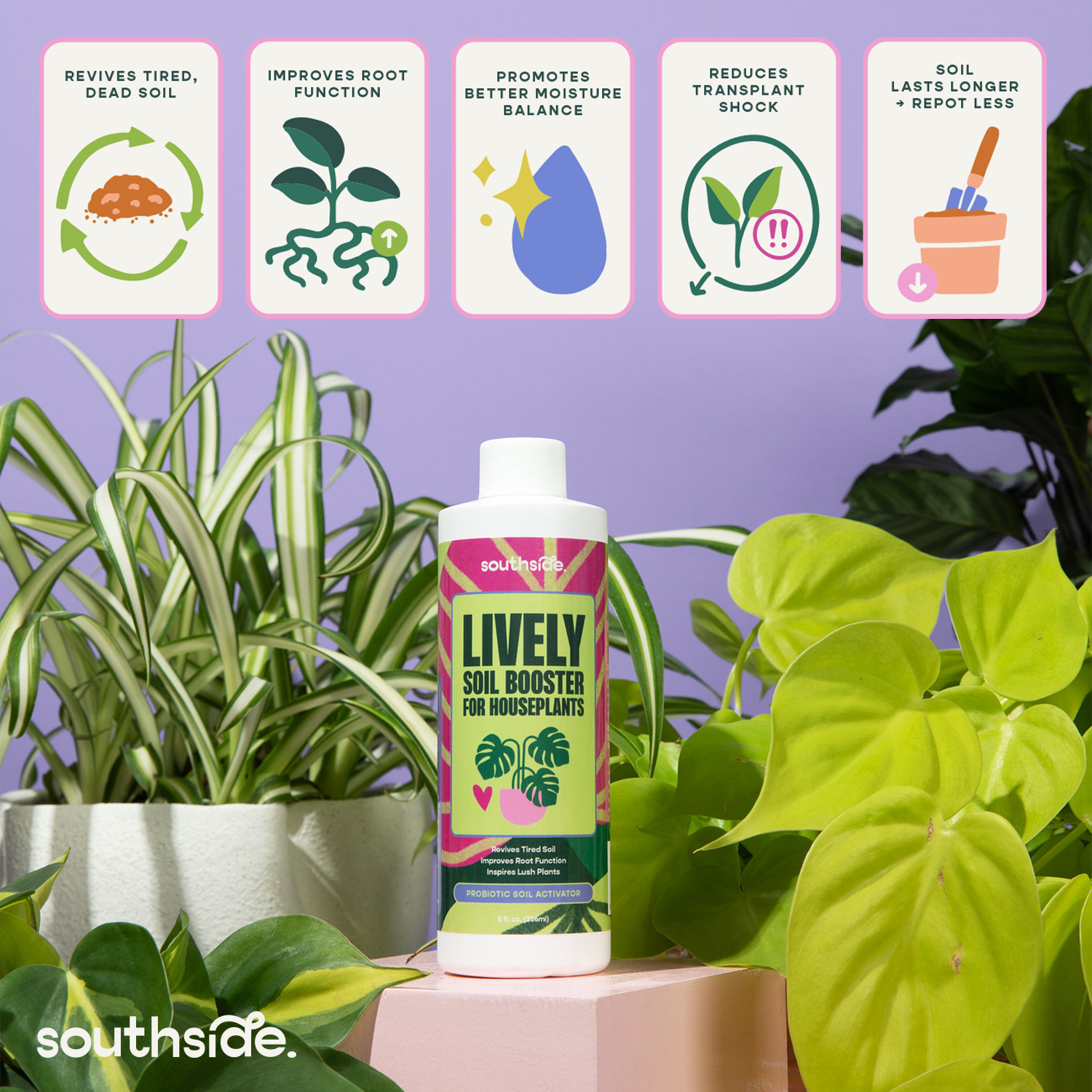 Southside. - Vente Engrais - Booster de Sol Vivant pour Plantes d'Intérieur4