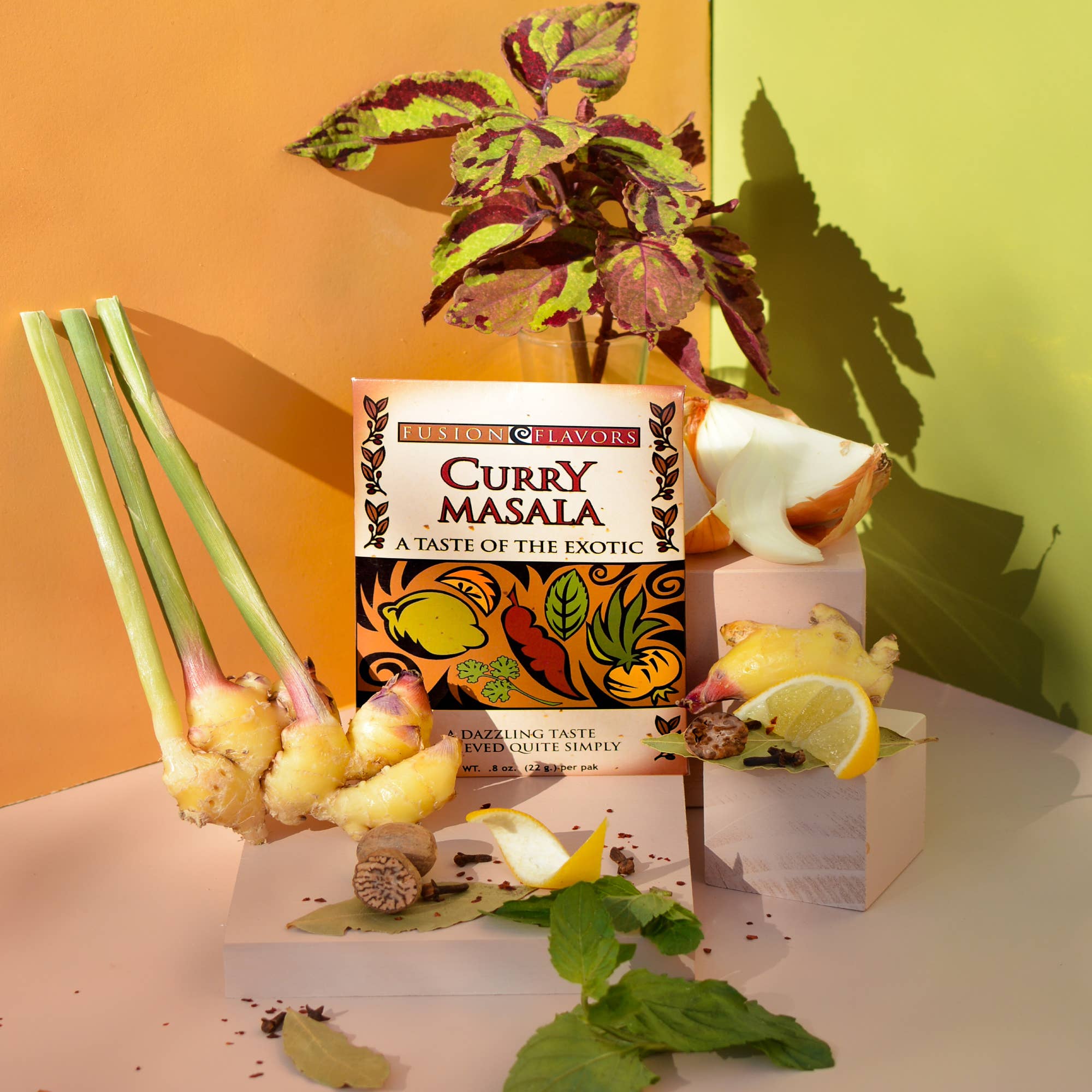 Fusion Flavors - Wholesale Dried Spice Mix - Curry Masala2