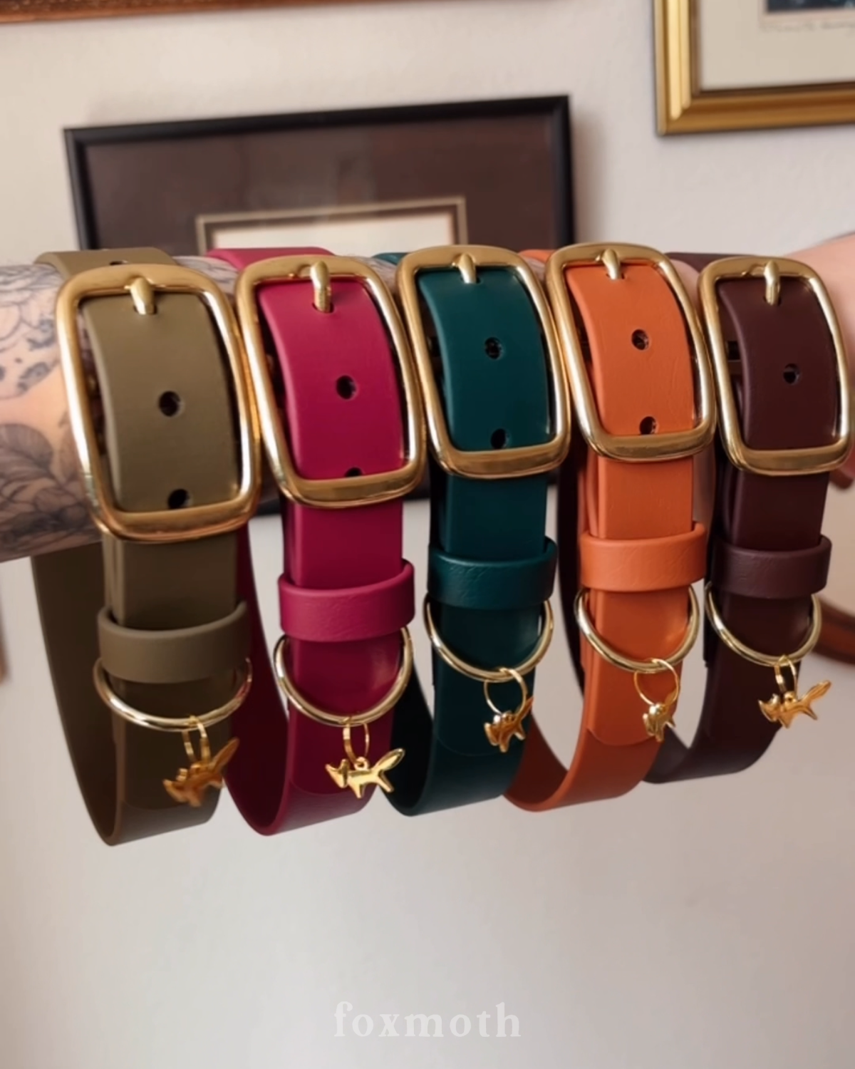 FoxMoth - Wholesale Pet Collar - Dog - Modern Waterproof Biothane Dog Collar [All 17+ Colors]26