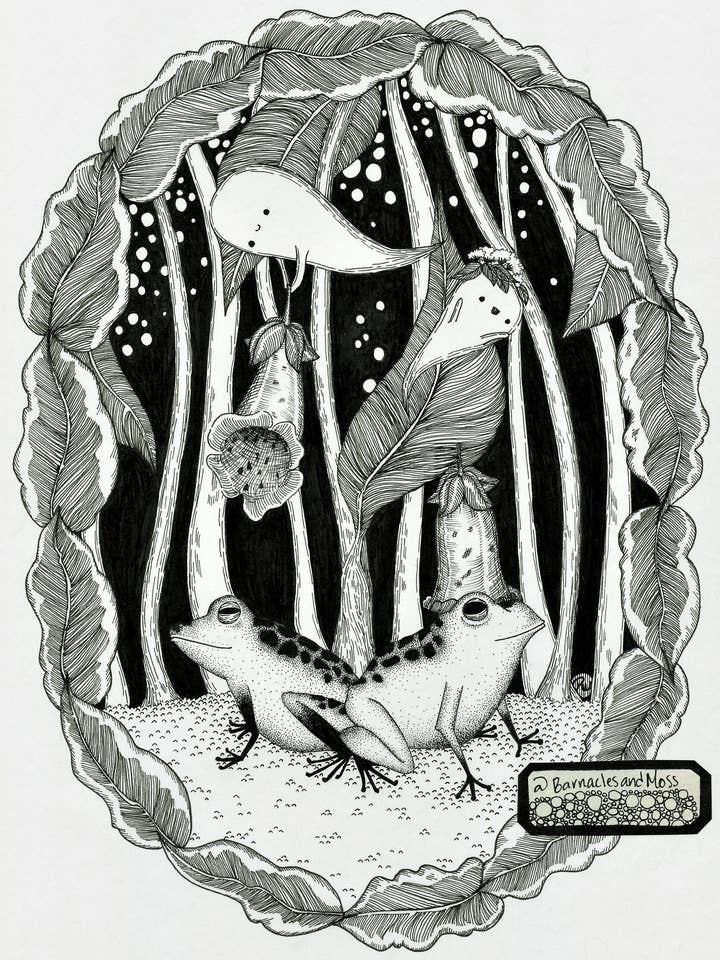 Foxy Frogs Fine Art Print för wholesale av Barnacles and Moss