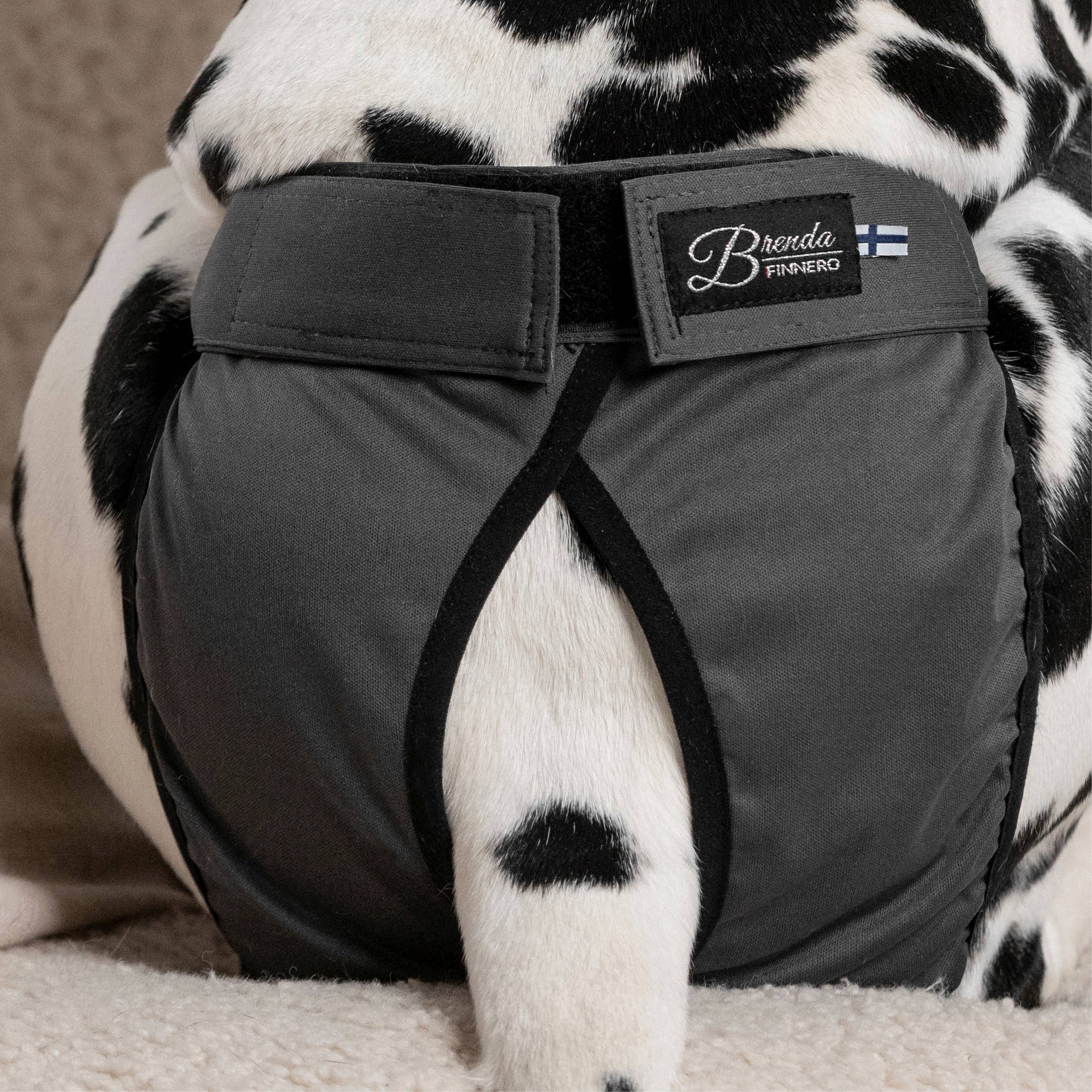 FINNERO - Wholesale Pet Diaper - Dog - FINNERO BRENDA Dog Hygiene pants, 3 colors, Washable Diaper20