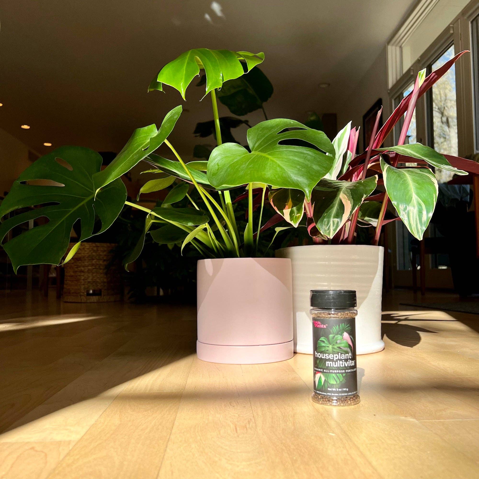 Love, Plants - Wholesale Fertilizer - Houseplant Multivitamin - Houseplant Fertilizer 3