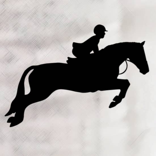 Adesivo in vinile Hunter Jumper per la vendita all'ingrosso da parte di Bow-Dacious Designs