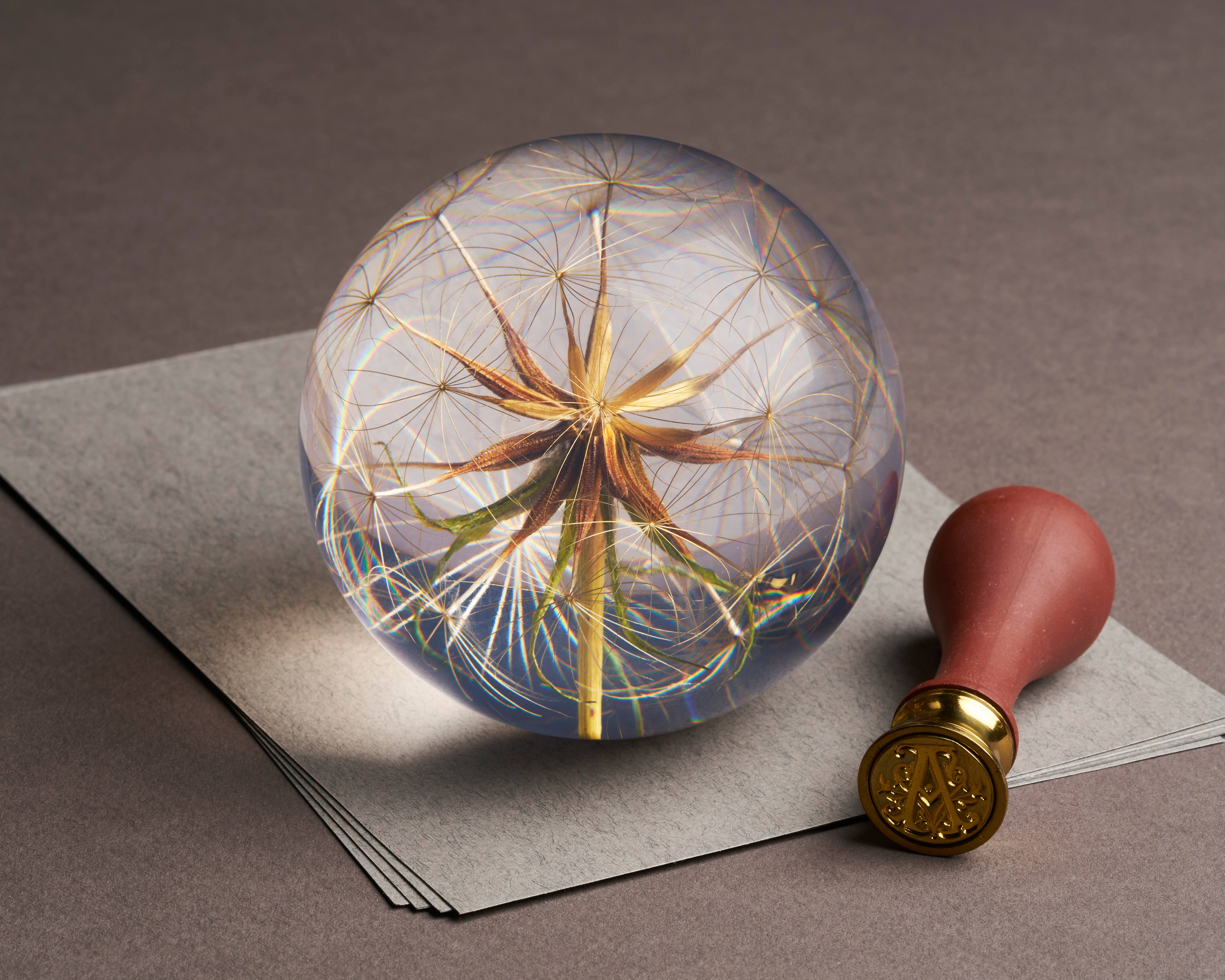 Hafod Grange Ltd - Wholesale Ornament - Goatsbeard Paperweight