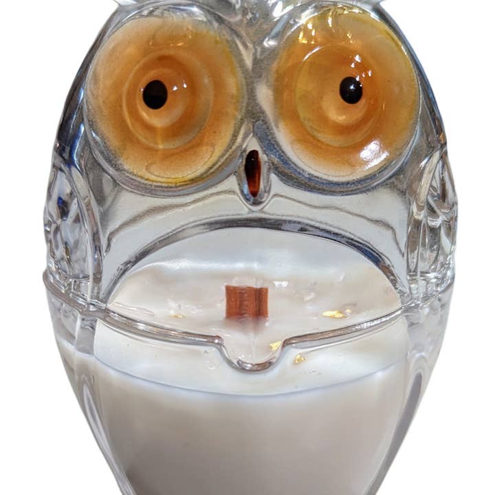 Crystal Glass Owl Candy Dish Candle for wholesale by DREAMBIRD Candles
