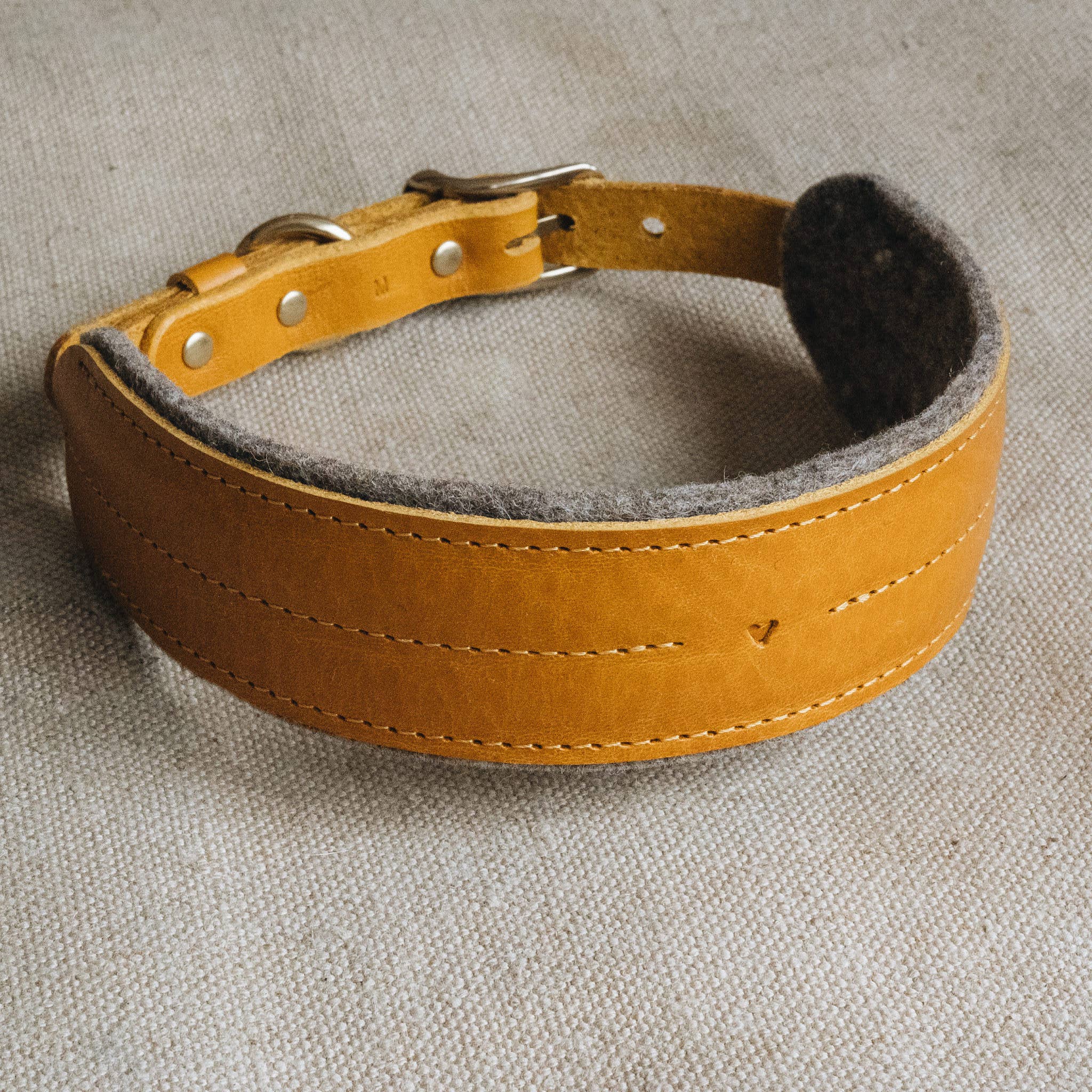 BAND&ROLL – wholesale Pet collar – Dog – Wool Padded Wide Dog Collar. Pine27