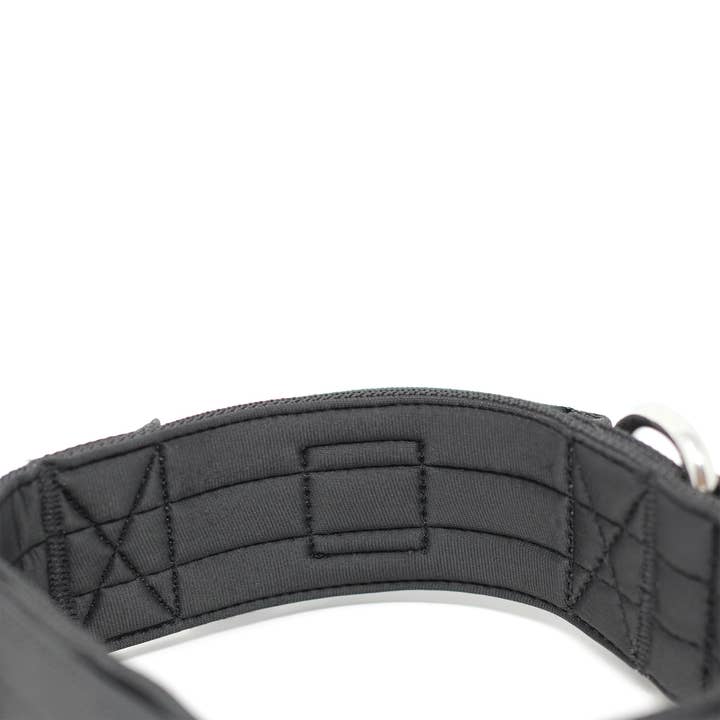 BullyBillows Ltd - Vente Collier – chien - Collier pour chien Combat™ 5 cm - Noir v2.0