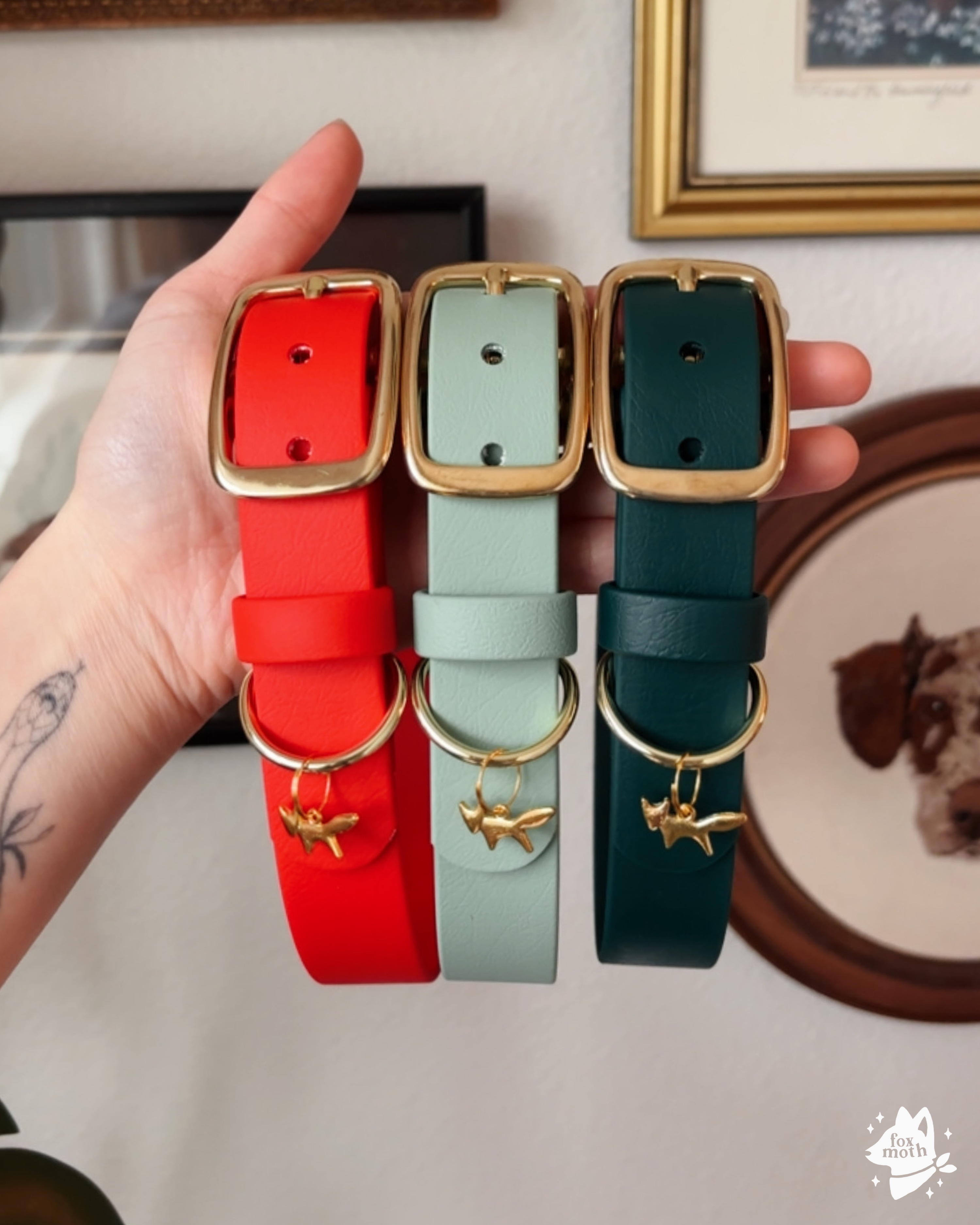 FoxMoth - Wholesale Pet Collar - Dog - Modern Waterproof Biothane Dog Collar [All 17+ Colors]3