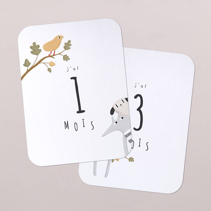 Tarjetas de etapa de primer año: a las escondidas para venta al por mayor de Cotton Bird