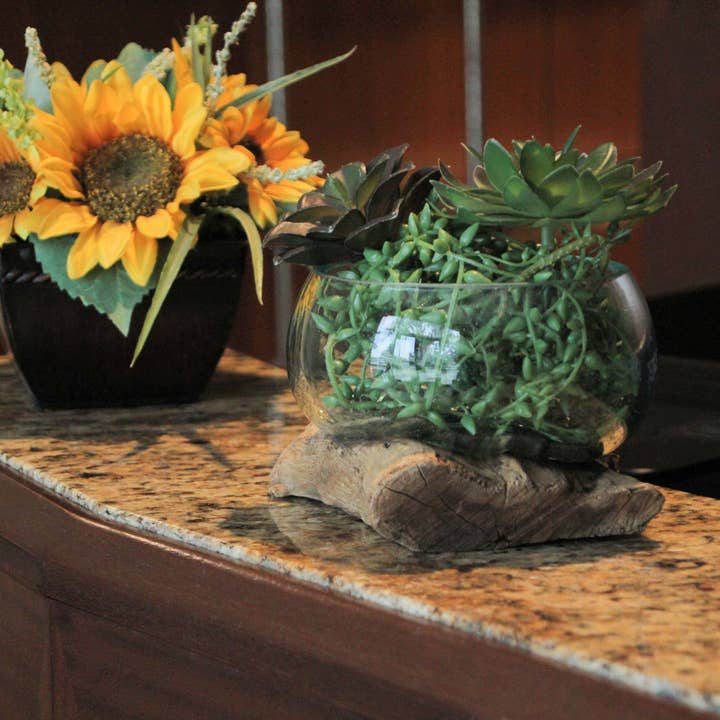 Zeckos - Wholesale Vase - Medium Wide Mouth Molten Glass on Teak Driftwood Decorative Sculptural Bowl, Vase, and Terrarium Planter - Approximately 5 Inches High6