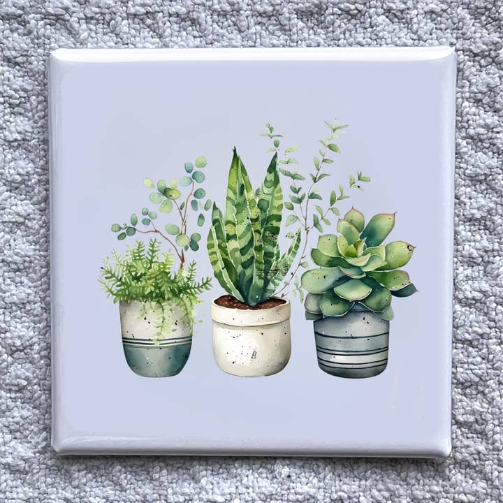 Imã de Planta Suculenta 2x2" - Decoração de Frigorífico Feita à Mão por atacado de Made With Aloha Magnets,llc