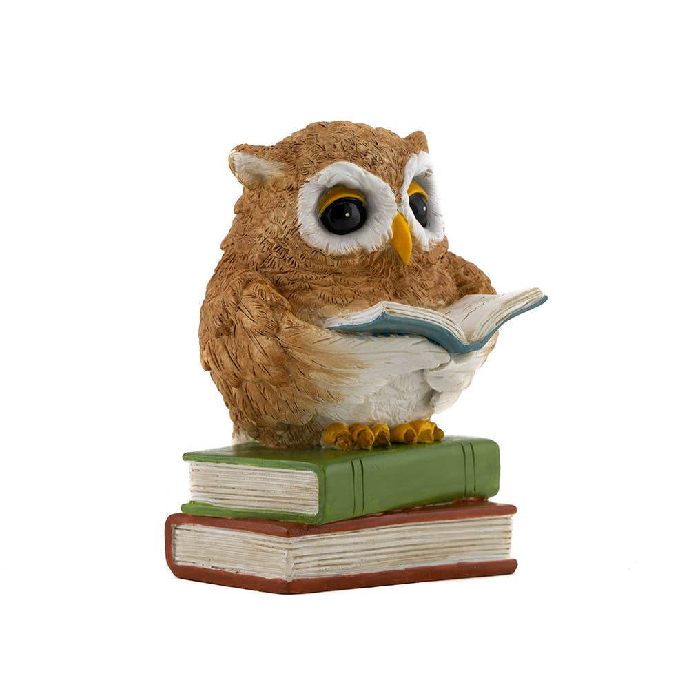 Top Land Trading - Wholesale Decorative Figurine - Owl Reading On Book Stack0