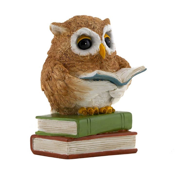 Top Land Trading - Wholesale Decorative Figurine - Owl Reading On Book Stack0