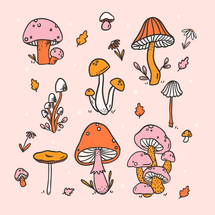 Jollie Ollie Designs - Wholesale Art Print - Mushroom Fields Print