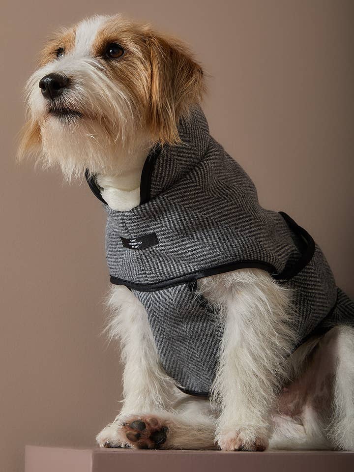 Graues Fischgrätenmuster-Jackett TWILL für den Großhandel von The Striped Dog