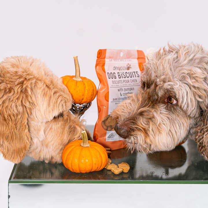 dexypaws - Wholesale Hondenkoekjes - Hond - Pompoen hond traktaties