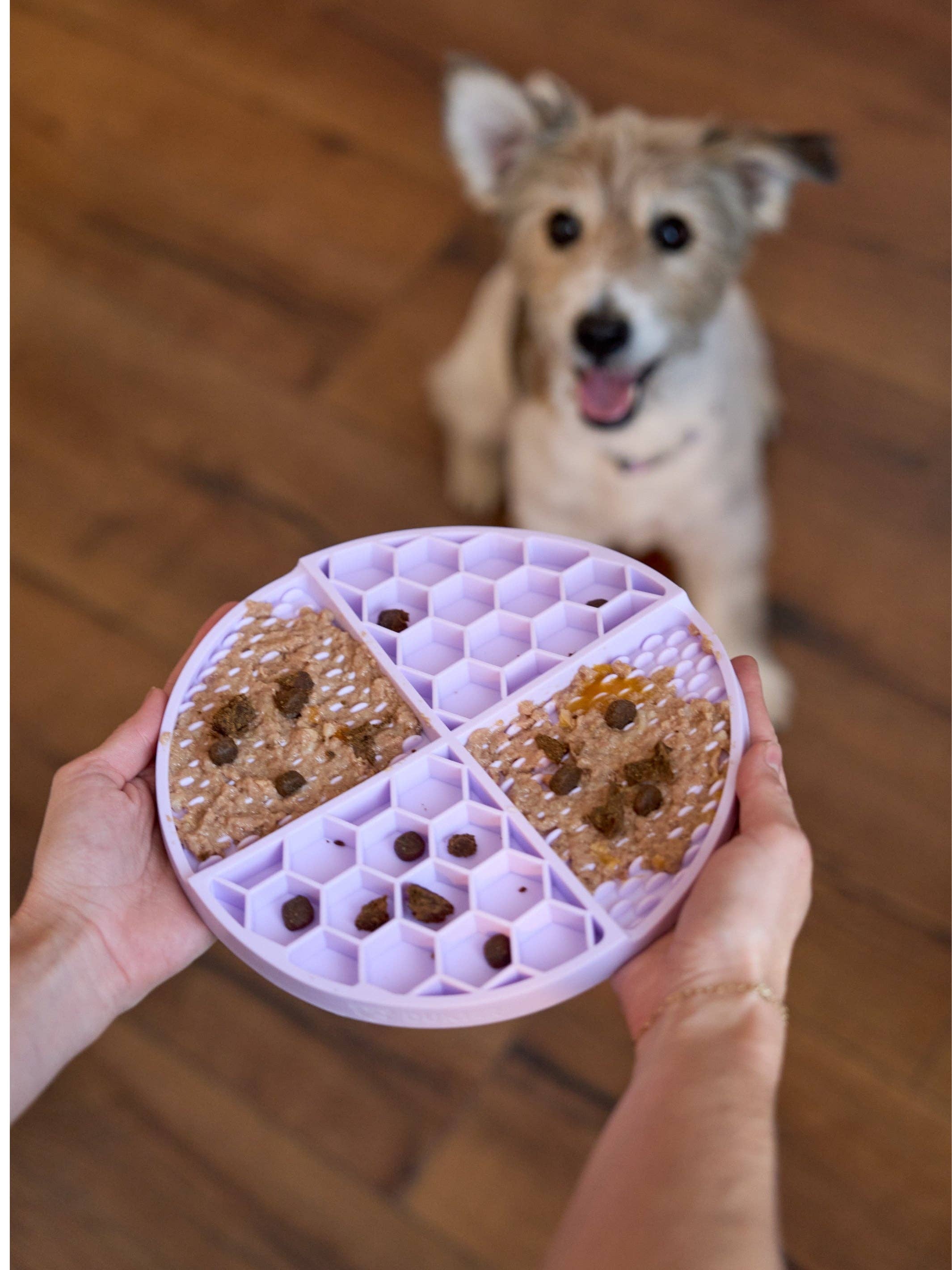 Dukier - Wholesale Pet Food Mat - Dog - PURPLE DOG LICK MAT3