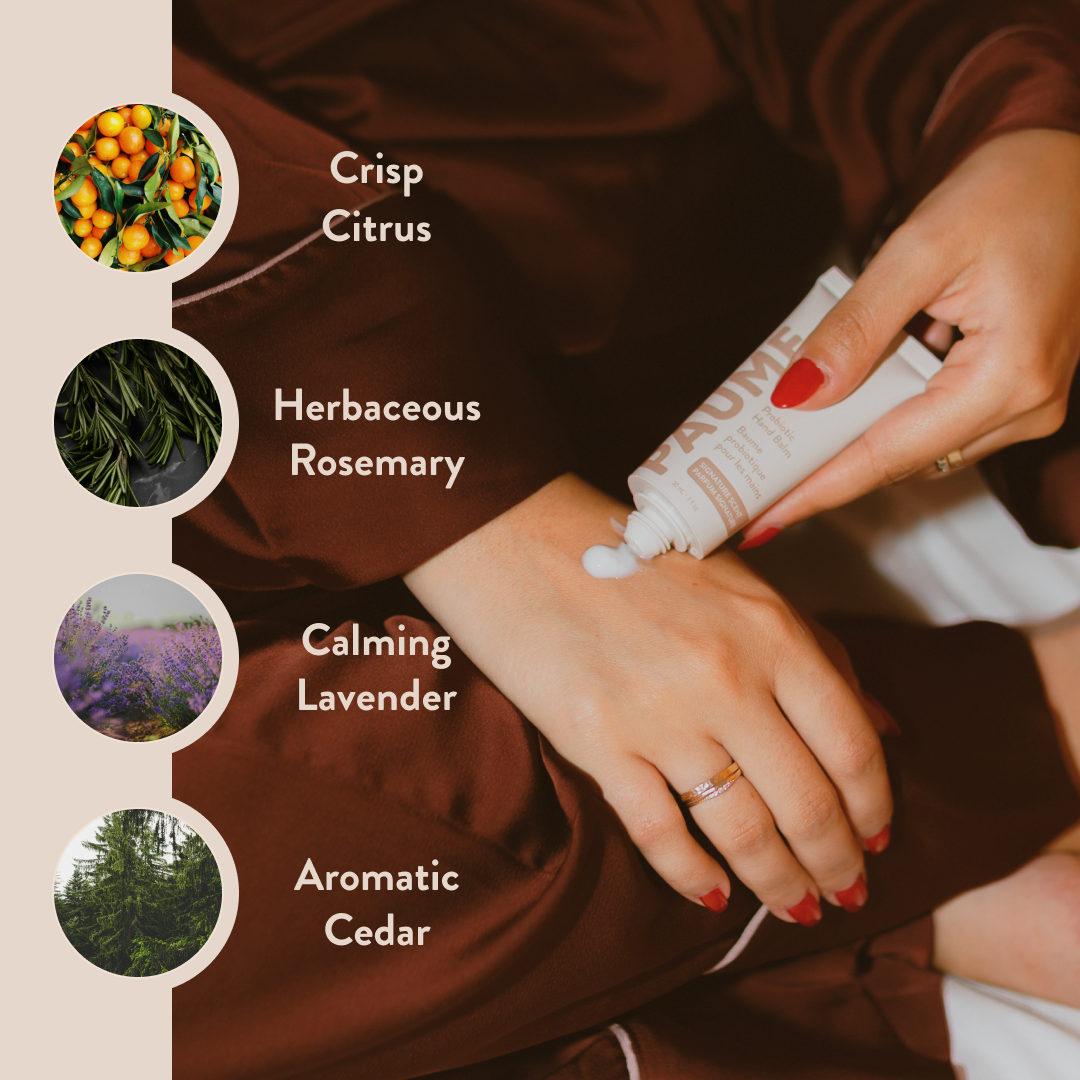 PAUME - Wholesale Hand Cream/Lotion - Probiotic Hand Balm10