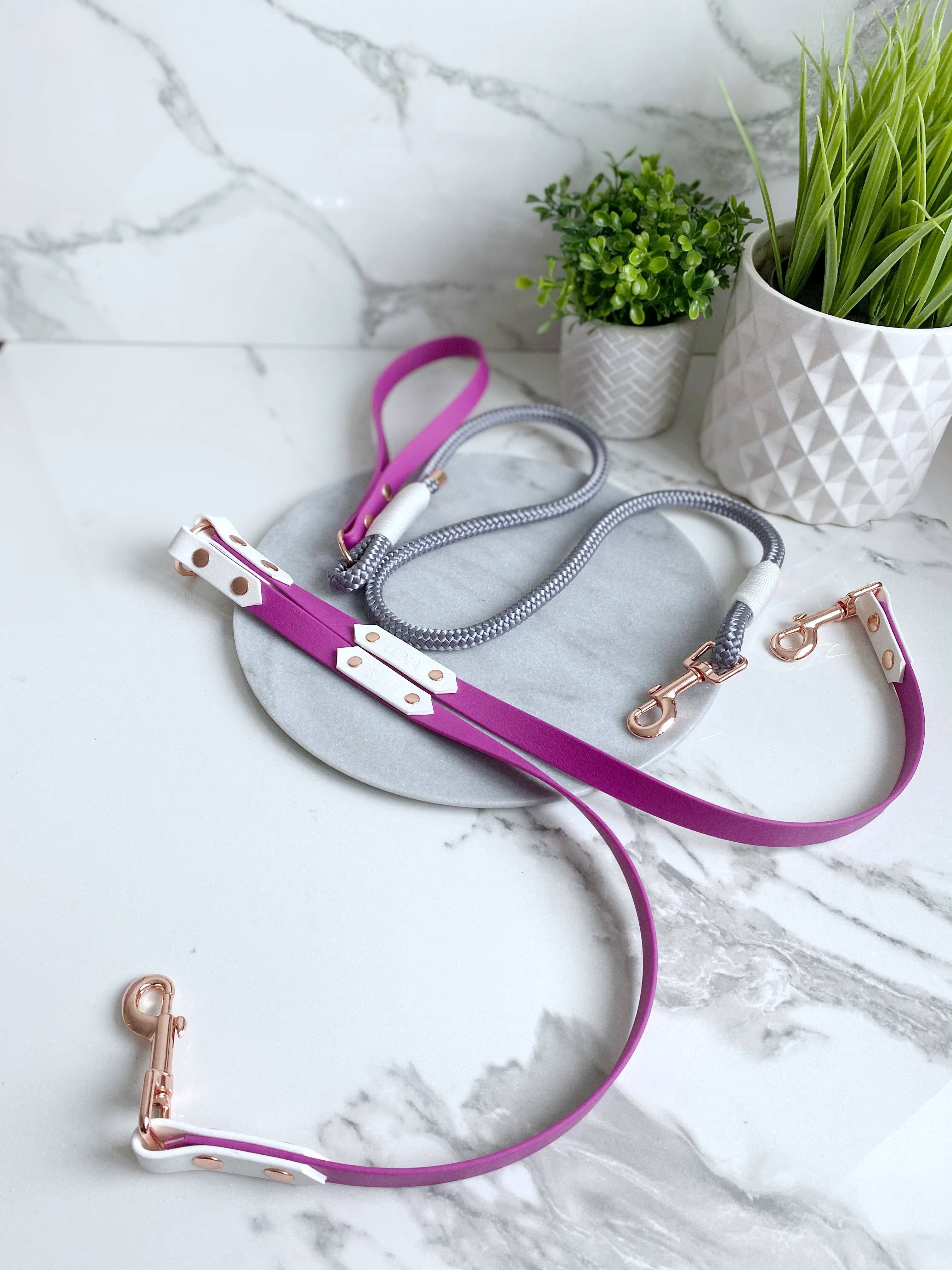 My Pawchella - Venta al por mayor Correa - Perros - Biothano/divisor de correas de colores6